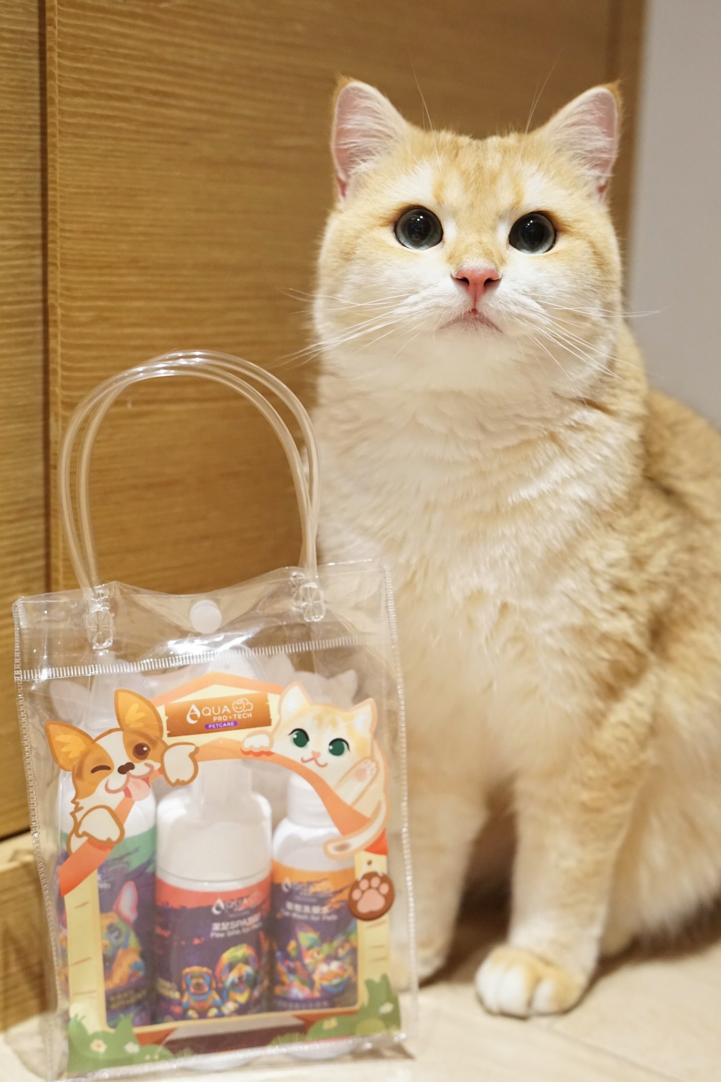 PET PET洗護套裝